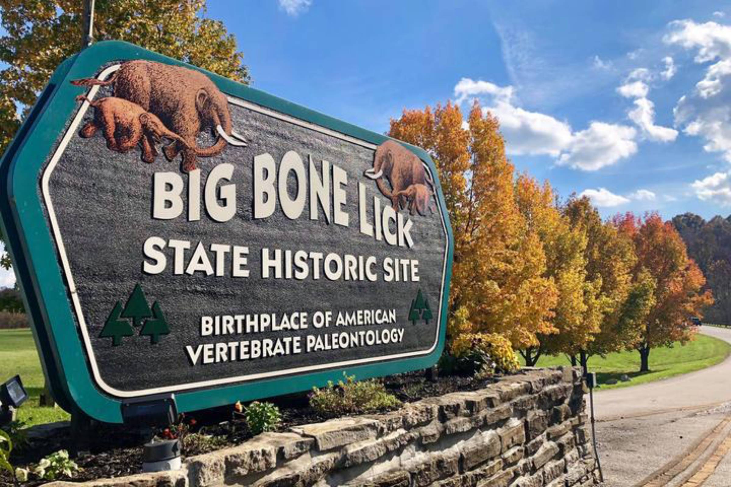 bigbone